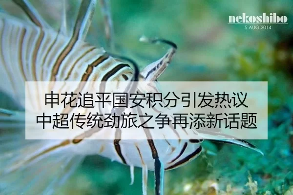 申花追平国安积分引发热议 中超传统劲旅之争再添新话题